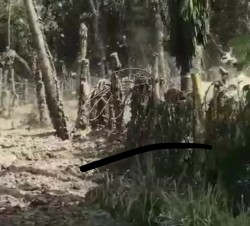 Sumur Bor di Aceh Utara Semburkan Gas Bercampur Lumpur hingga 5 Meter