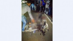 Tabrakan 'Laga Kambing' di Jalan Raya Sidikalang-Tigalingga, Parasian Ambarita Tewas
