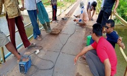 Tak Ada Tindakan Pemerintah, Warga Perbaiki Sendiri Jembatan Rusak di Pessel