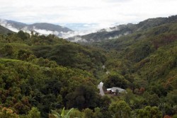 Taman Nasional Kerinci Seblat Rawan Jadi Lokasi Perburuan Satwa Liar