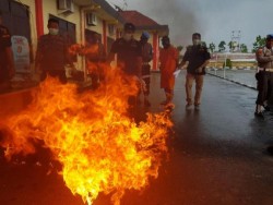 Tangan Wakapolres Bintan Nyaris Terbakar saat Musnahkan Ganja
