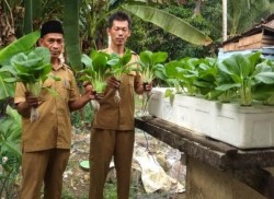Tiga Desa di Lingga Panen Perdana Sayuran Hidroponik