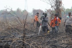 Tiga Perusahaan Pembakar Hutan dan Lahan Terus Diperiksa, Salah Satunya Perusahaan Sawit Malaysia