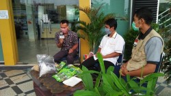 Tim Ketahanan Pangan DPW PKS Riau Gelar Penyuluhan Pertanian Online Rutin