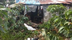 Tujuh Rumah di Pintu Rime Gayo Dirusak Gajah Liar