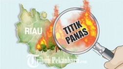 Tujuh Titik Api Terdeteksi di Inhu Riau, BMKG Japura: Jarak Pandang Hanya 4000 Meter