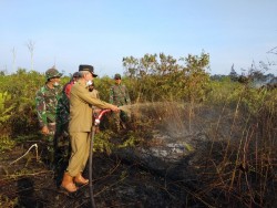 Wabup Meranti Tinjau Kebakaran Puluhan Hektar Lahan di Desa Mengkikip dan Pranap