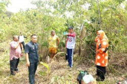 Wakil Bupati Lingga Kunjungi Perkebunan Kelapa di Pulau Talas