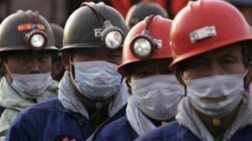 Wako Batam Batasi Jumlah Tenaga Kerja Asing (TKA)