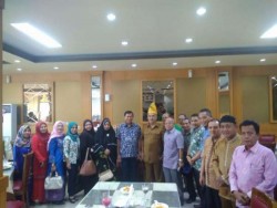 Wako Firdaus Terima Presiden DMDI dan Rombongan