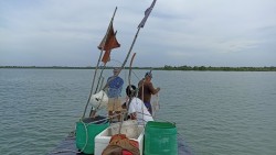 WALHI Riau Tagih Janji Gubernur Riau Cabut IUP PT Logomas Utama!