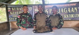 Warga Kp.Banda Serahkan Karung Berisi Ganja Ke Satgas Pamtas Yonif 132/BS