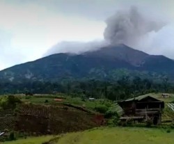 Warga Pasaman Waspada, BKSDA Pantau Pergerakan Harimau Sumatera